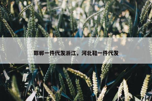 邯郸一件代发浙江，河北鞋一件代发