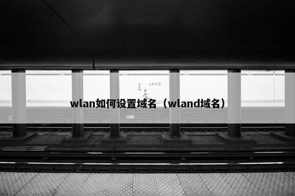 wlan如何设置域名（wland域名）