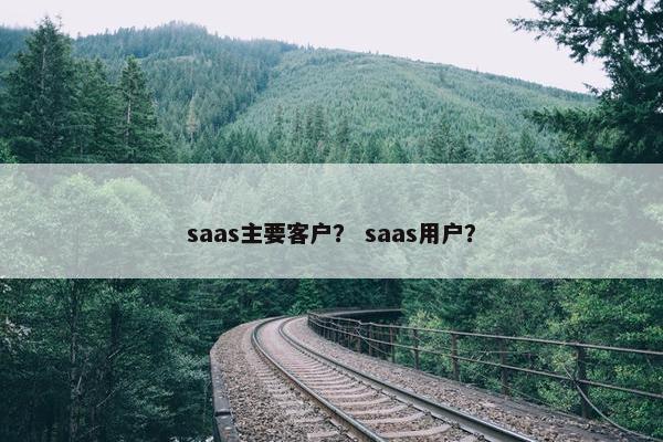 saas主要客户？ saas用户？
