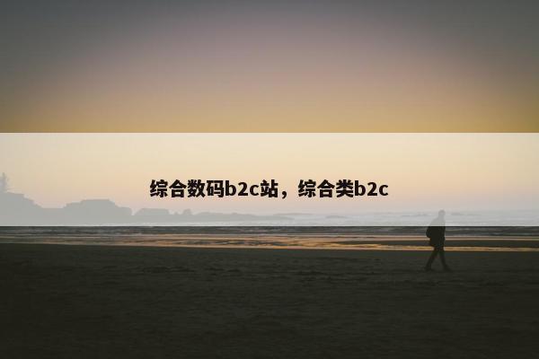 综合数码b2c站，综合类b2c