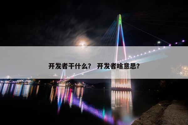 开发者干什么？ 开发者啥意思？