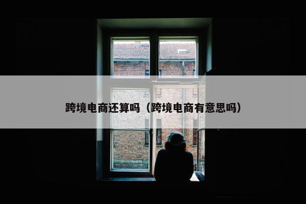 跨境电商还算吗（跨境电商有意思吗）