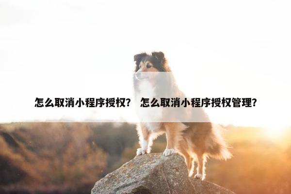 怎么取消小程序授权？ 怎么取消小程序授权管理？