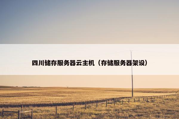 四川储存服务器云主机（存储服务器架设）