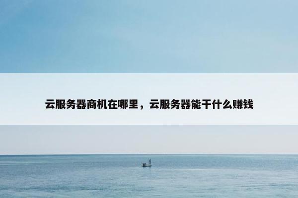 云服务器商机在哪里，云服务器能干什么赚钱