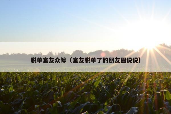 脱单室友众筹（室友脱单了的朋友圈说说）