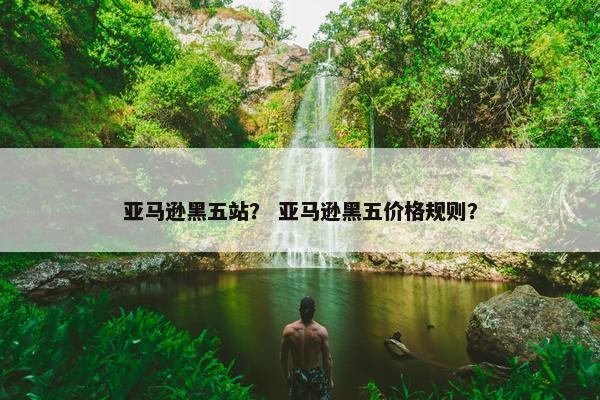 亚马逊黑五站？ 亚马逊黑五价格规则？