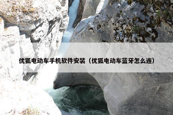 优狐电动车手机软件安装（优狐电动车蓝牙怎么连）