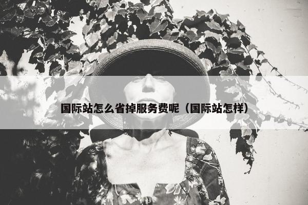 国际站怎么省掉服务费呢（国际站怎样）