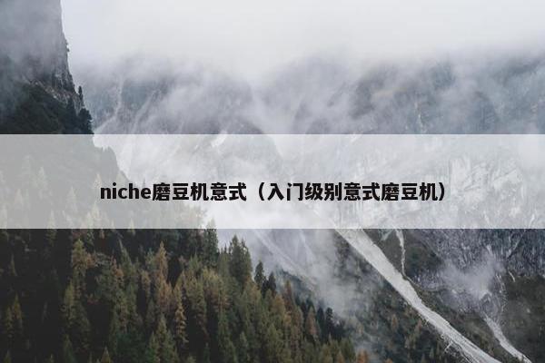 niche磨豆机意式（入门级别意式磨豆机）