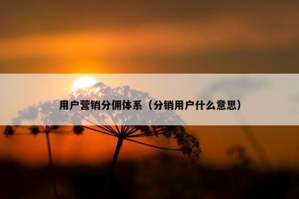用户营销分佣体系（分销用户什么意思）