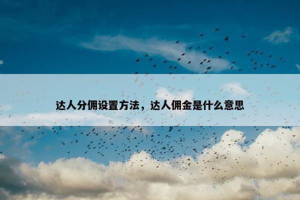 达人分佣设置方法，达人佣金是什么意思