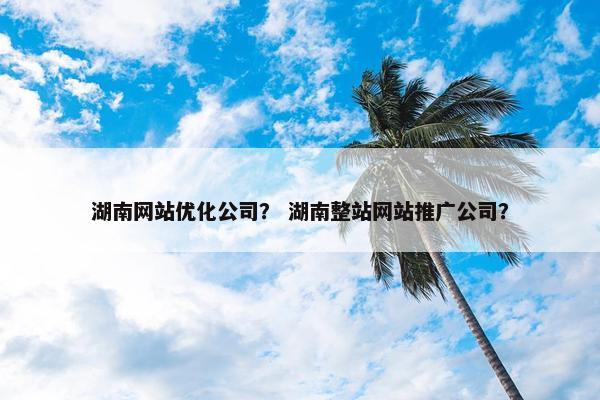 湖南网站优化公司？ 湖南整站网站推广公司？