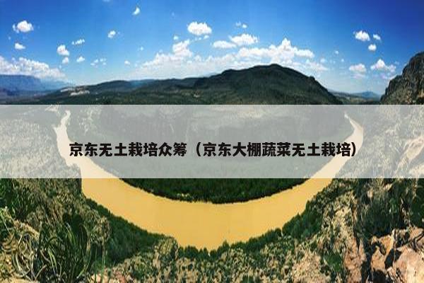 京东无土栽培众筹（京东大棚蔬菜无土栽培）