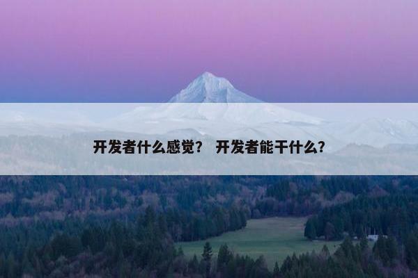 开发者什么感觉？ 开发者能干什么？