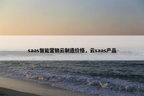 saas智能营销云制造价格，云saas产品