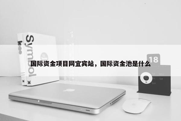 国际资金项目网宜宾站，国际资金池是什么