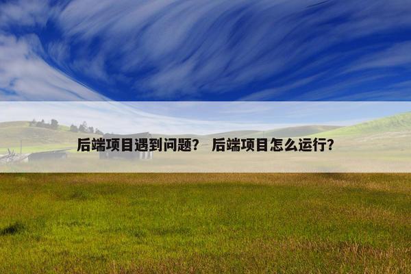后端项目遇到问题？ 后端项目怎么运行？