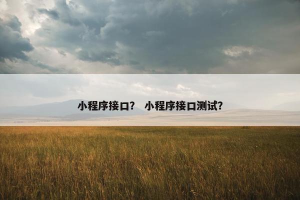 小程序接口？ 小程序接口测试？