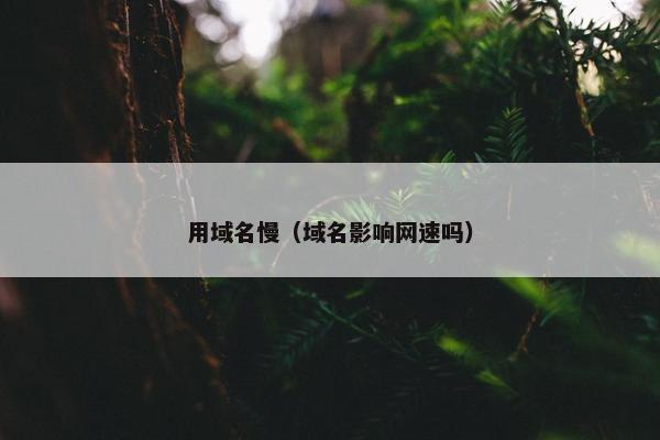 用域名慢（域名影响网速吗）