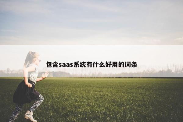 包含saas系统有什么好用的词条