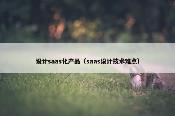 设计saas化产品（saas设计技术难点）