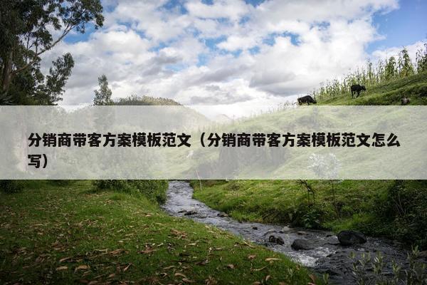 分销商带客方案模板范文（分销商带客方案模板范文怎么写）