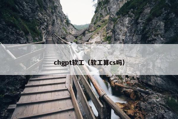 chgpt软工（软工算cs吗）
