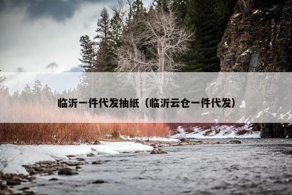 临沂一件代发抽纸（临沂云仓一件代发）