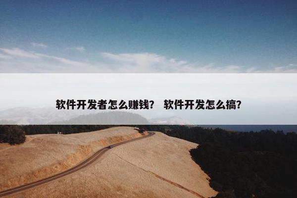 软件开发者怎么赚钱？ 软件开发怎么搞？