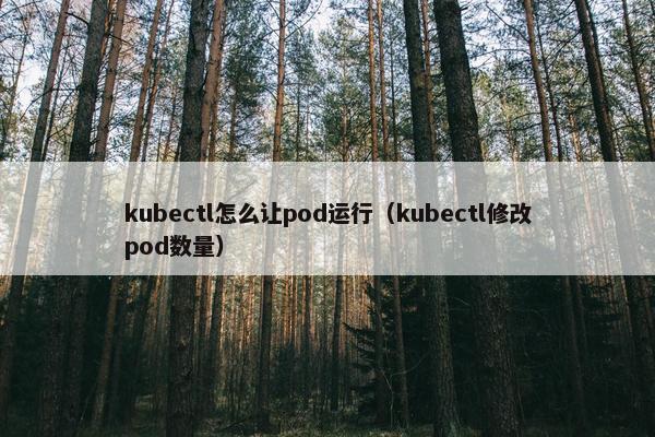 kubectl怎么让pod运行（kubectl修改pod数量）