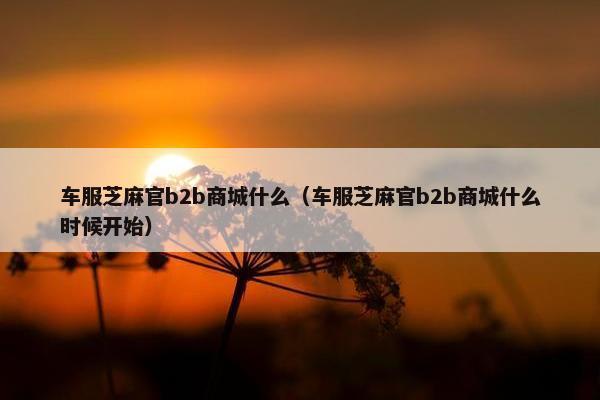 车服芝麻官b2b商城什么（车服芝麻官b2b商城什么时候开始）
