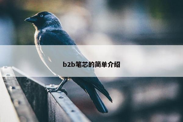 b2b笔芯的简单介绍