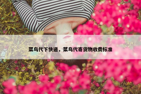 菜鸟代下快递，菜鸟代寄货物收费标准