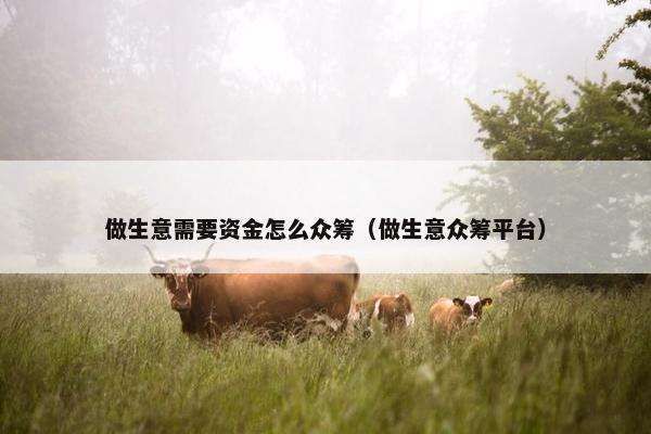 做生意需要资金怎么众筹（做生意众筹平台）