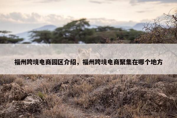 福州跨境电商园区介绍，福州跨境电商聚集在哪个地方