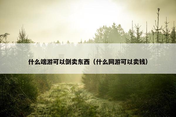 什么端游可以倒卖东西（什么网游可以卖钱）