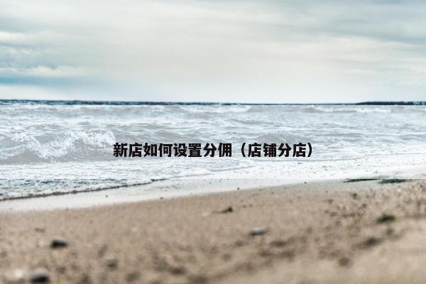 新店如何设置分佣（店铺分店）