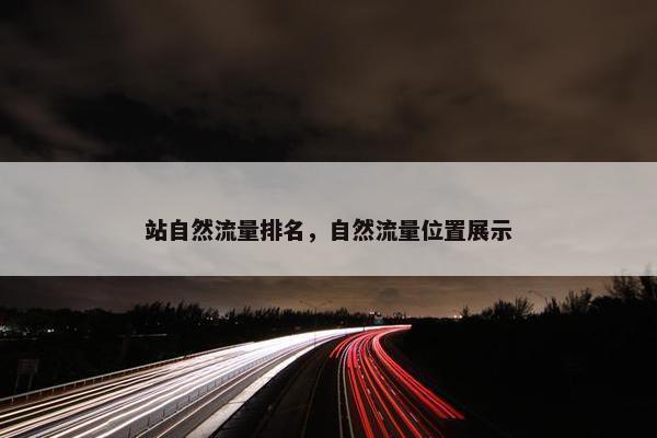 站自然流量排名，自然流量位置展示