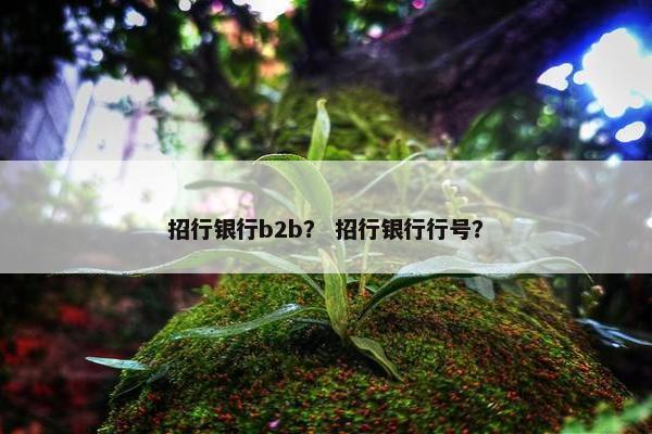 招行银行b2b？ 招行银行行号？