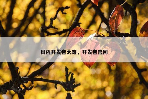 国内开发者太难，开发者官网