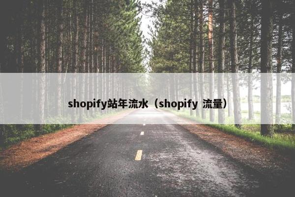 shopify站年流水（shopify 流量）