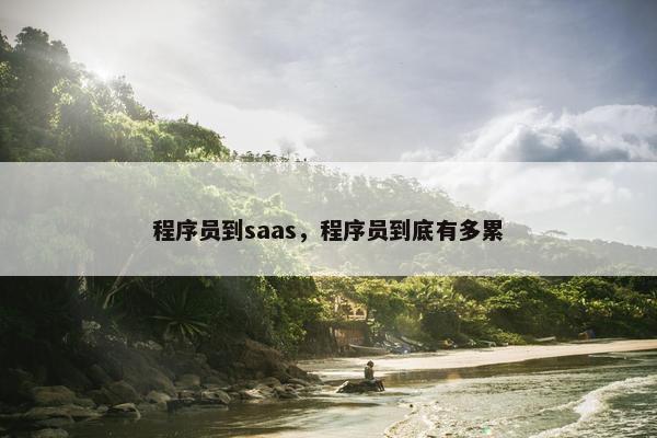 程序员到saas，程序员到底有多累