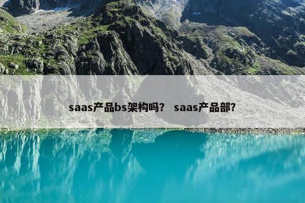 saas产品bs架构吗？ saas产品部？