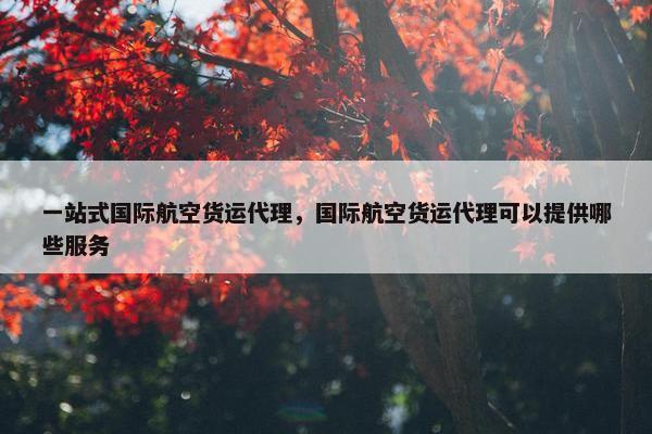 一站式国际航空货运代理，国际航空货运代理可以提供哪些服务