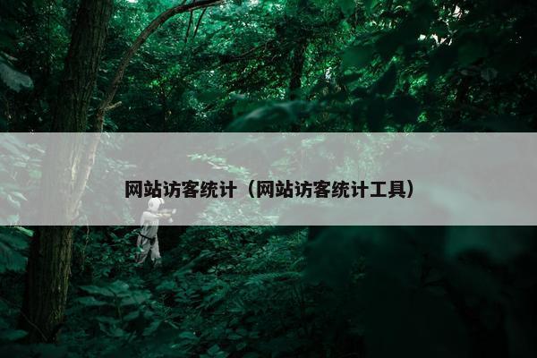 网站访客统计（网站访客统计工具）