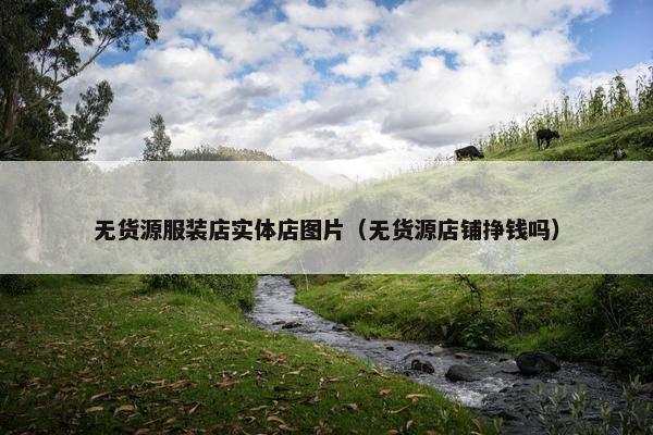 无货源服装店实体店图片（无货源店铺挣钱吗）