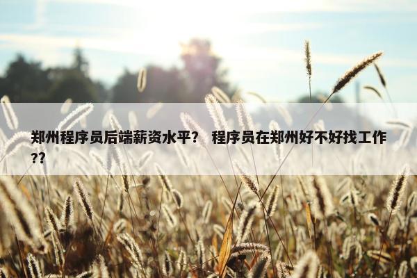 郑州程序员后端薪资水平？ 程序员在郑州好不好找工作?？