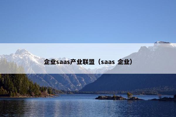 企业saas产业联盟（saas 企业）
