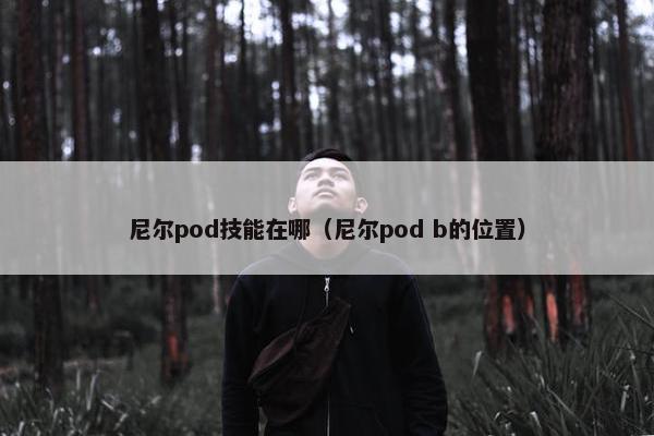 尼尔pod技能在哪（尼尔pod b的位置）